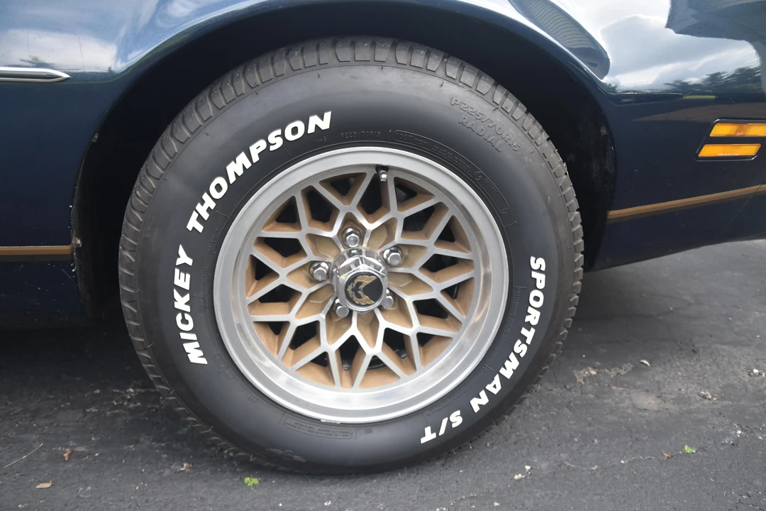 1981 Pontiac Firebird 2nd Gen - Image 30 of 31