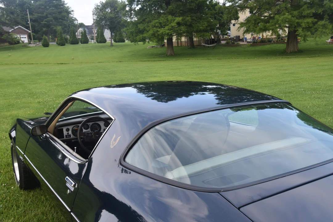 1981 Pontiac Firebird 2nd Gen - Image 17 of 31