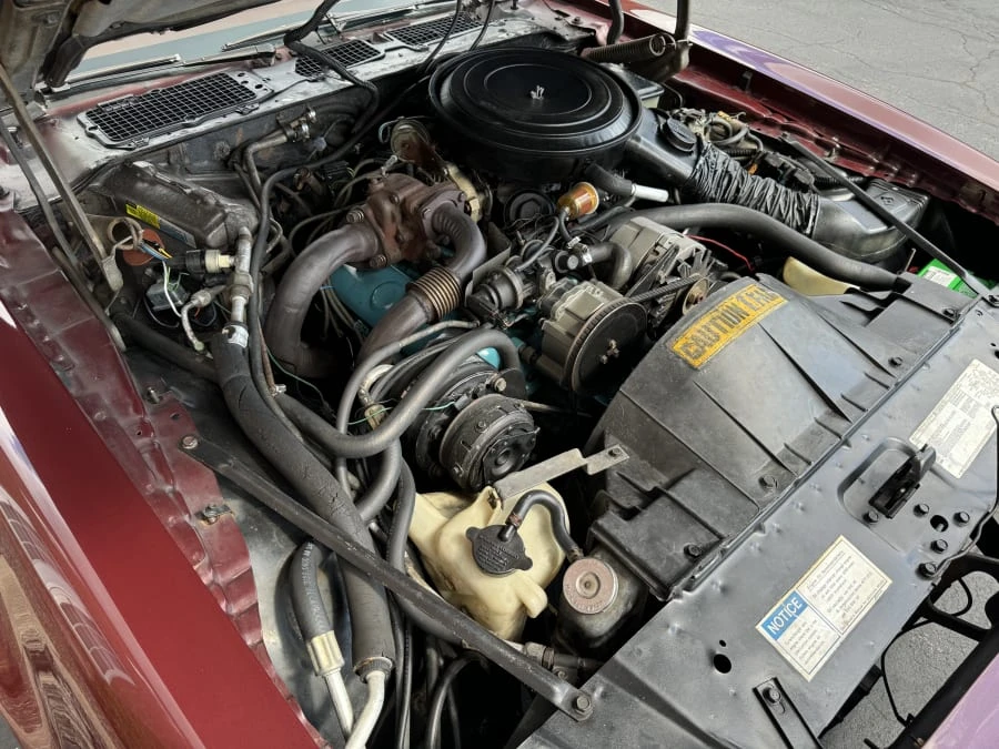1981 Pontiac Firebird 2nd Gen - Image 8 of 10