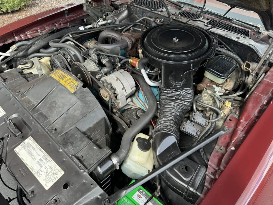 1981 Pontiac Firebird 2nd Gen - Image 9 of 10