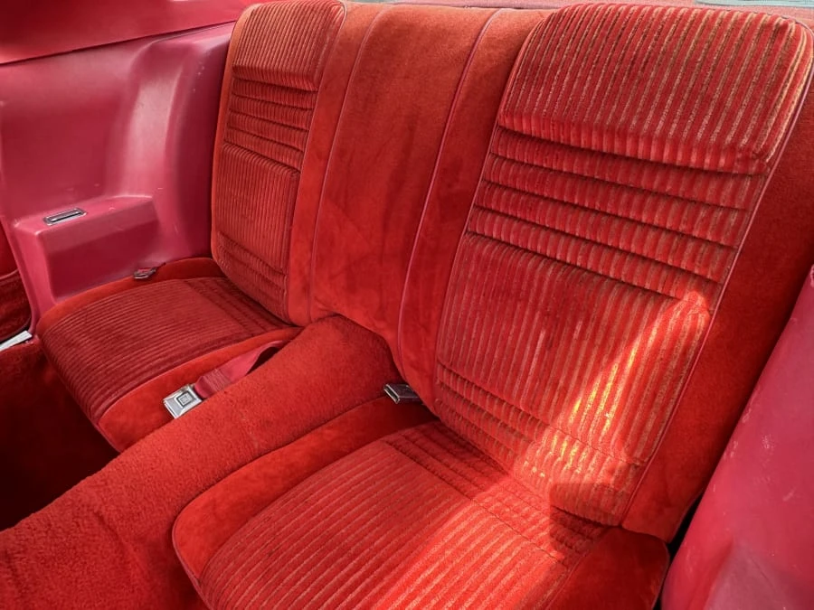 1981 Pontiac Firebird 2nd Gen - Image 5 of 10