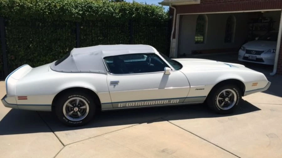 1981 Pontiac Firebird 2nd Gen - Image 5 of 5