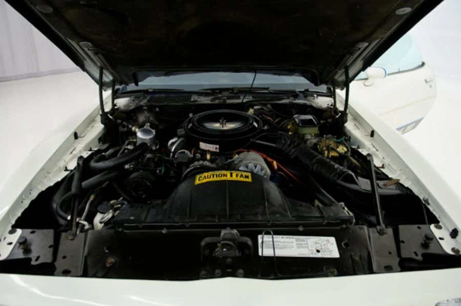 1981 Pontiac Firebird 2nd Gen - Image 5 of 8