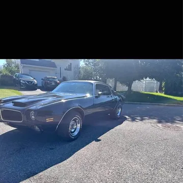 1981 Pontiac Firebird