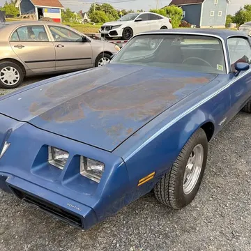 1981 Pontiac Firebird