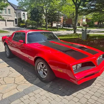 1981 Pontiac Firebird