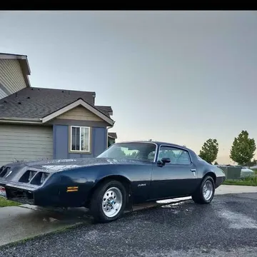 1981 Pontiac Firebird
