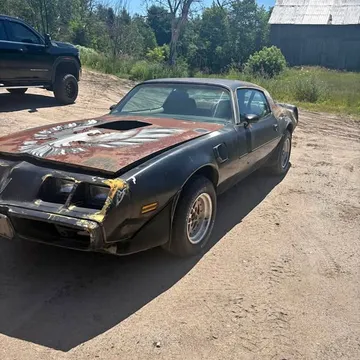 1981 Pontiac Firebird
