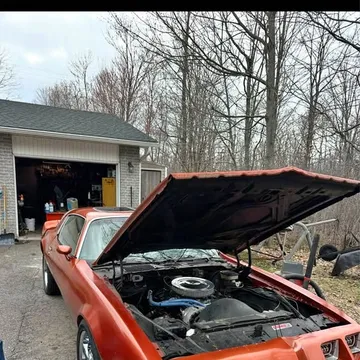 1981 Pontiac Firebird