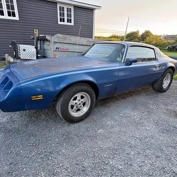 1981 Pontiac Firebird