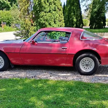 1981 Pontiac Firebird