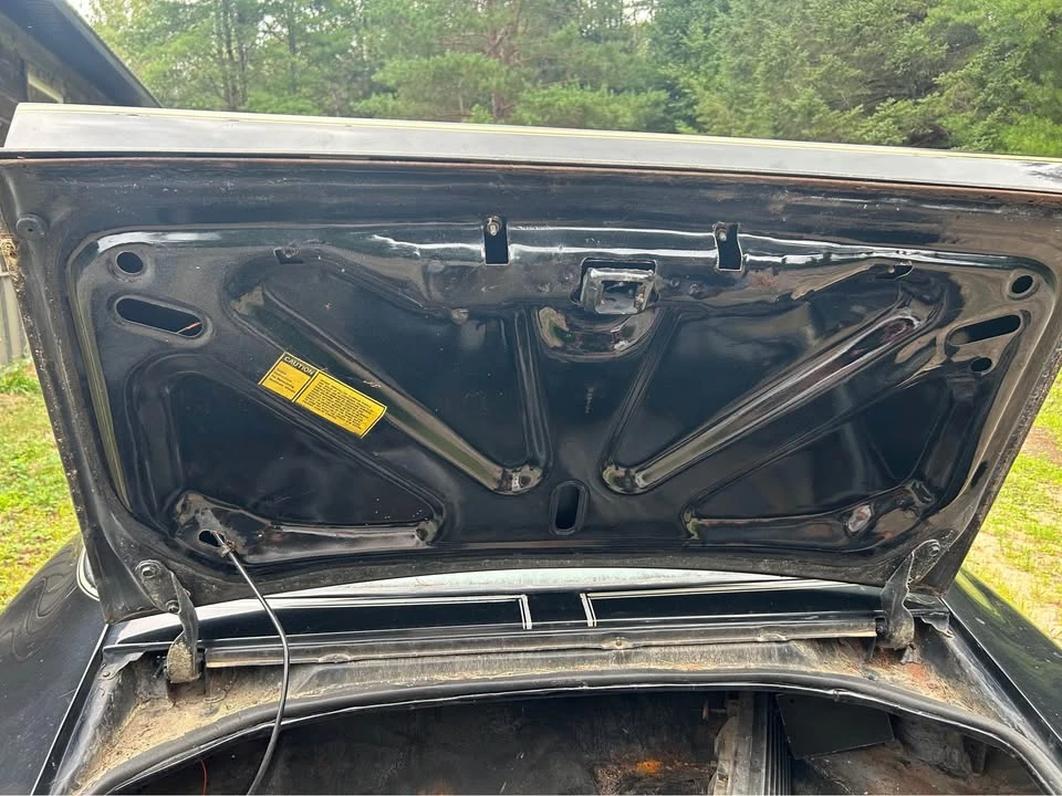 1981 Pontiac Firebird 2nd Gen - Image 9 of 13
