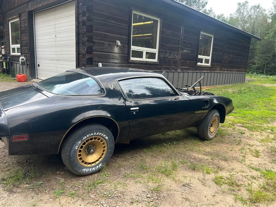 1981 Pontiac Firebird 2nd Gen - Image 2 of 13