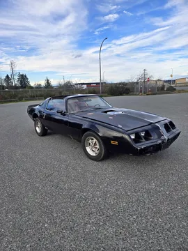 1981 Pontiac Firebird Formula