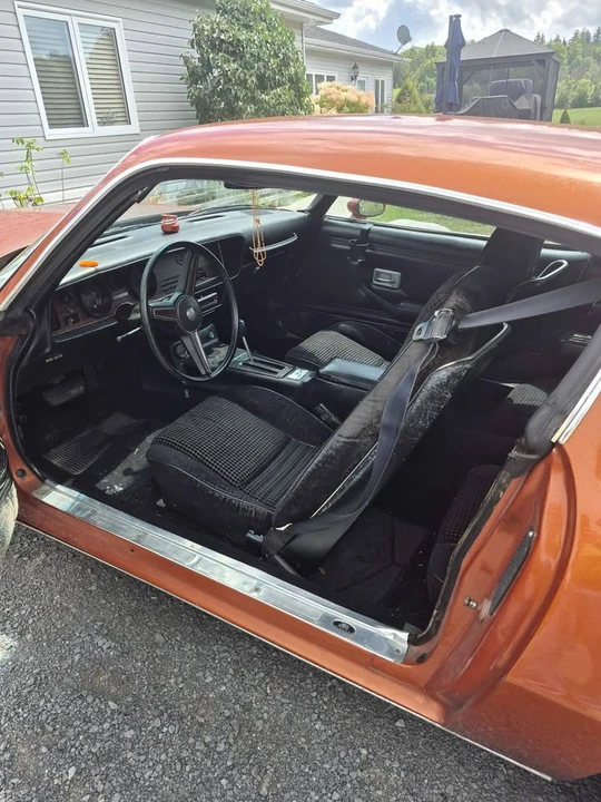 1981 Pontiac Firebird 2nd Gen - Image 2 of 12