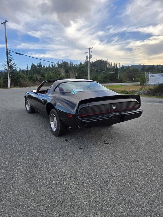 1981 Pontiac Firebird 2nd Gen - Image 2 of 4