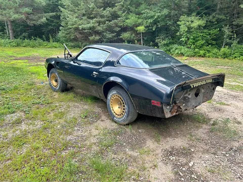 1981 Pontiac Firebird