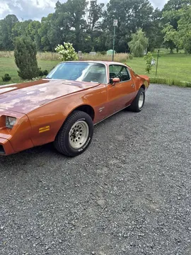 1981 Pontiac Firebird Esprit