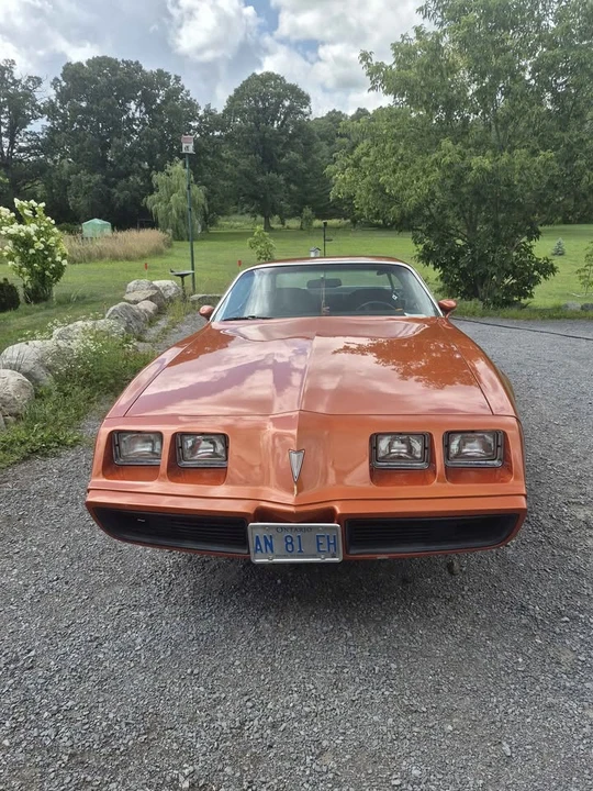1981 Pontiac Firebird 2nd Gen - Image 6 of 12