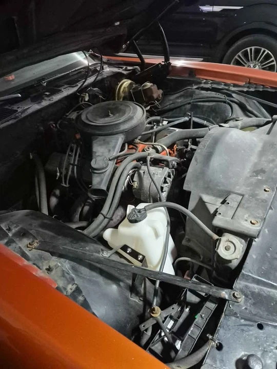 1981 Pontiac Firebird 2nd Gen - Image 9 of 12