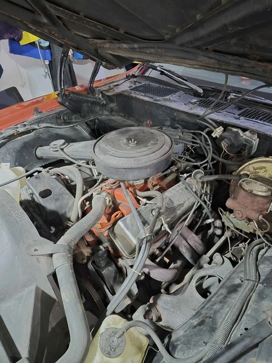 1981 Pontiac Firebird 2nd Gen - Image 11 of 12