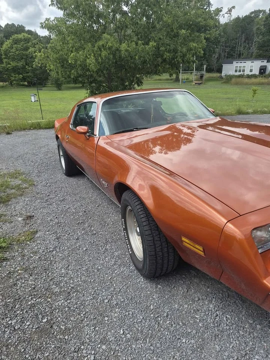 1981 Pontiac Firebird 2nd Gen - Image 3 of 12