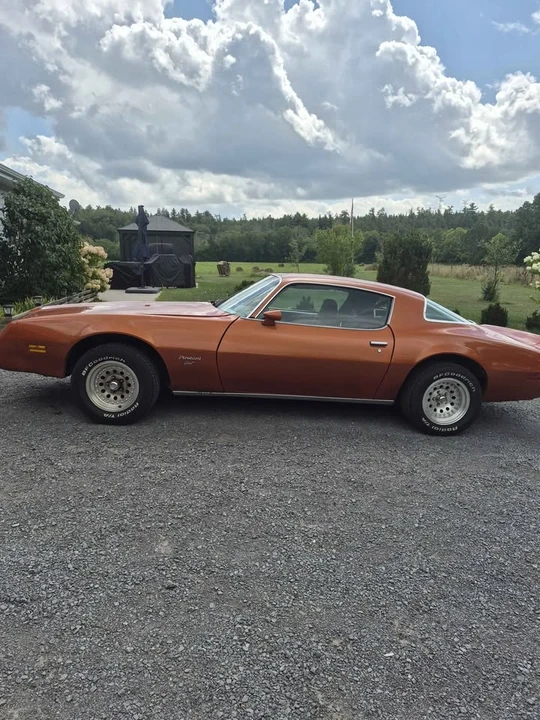 1981 Pontiac Firebird 2nd Gen - Image 7 of 12