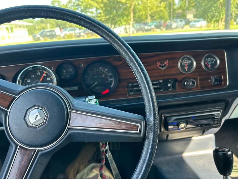 1981 Pontiac Firebird 2nd Gen - Image 6 of 14