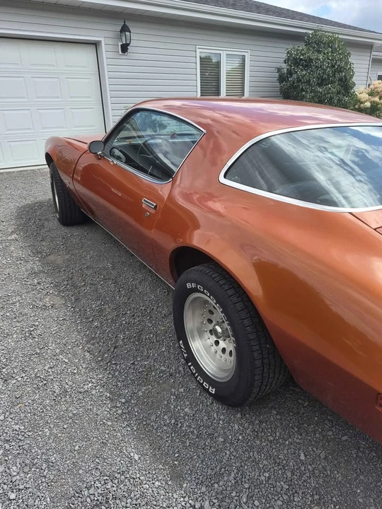 1981 Pontiac Firebird 2nd Gen - Image 5 of 12
