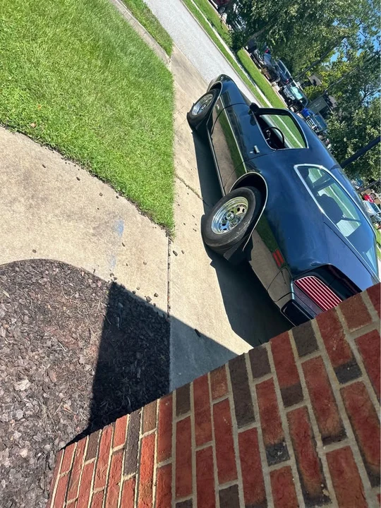 1981 Pontiac Firebird 2nd Gen - Image 10 of 14