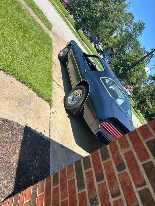1981 Pontiac Firebird 2nd Gen - Image 11 of 14