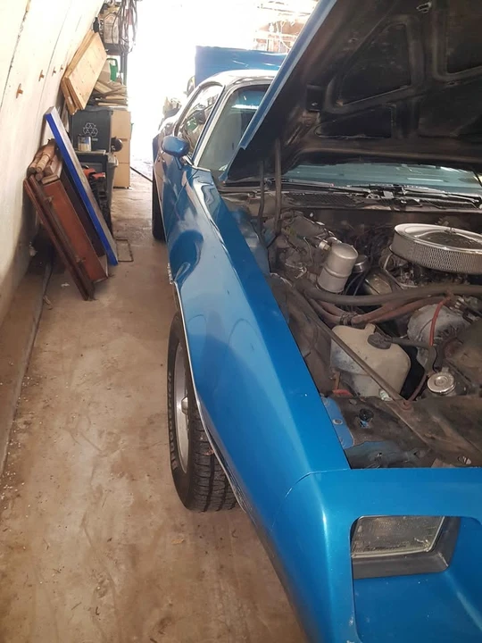 1981 Pontiac Firebird 2nd Gen - Image 10 of 16