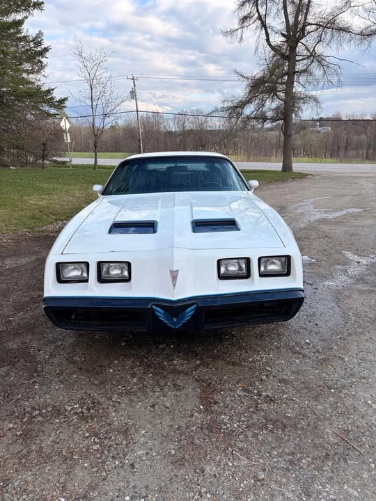 1981 Pontiac Firebird 2nd Gen - Image 8 of 10