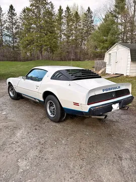1981 Pontiac Firebird Formula