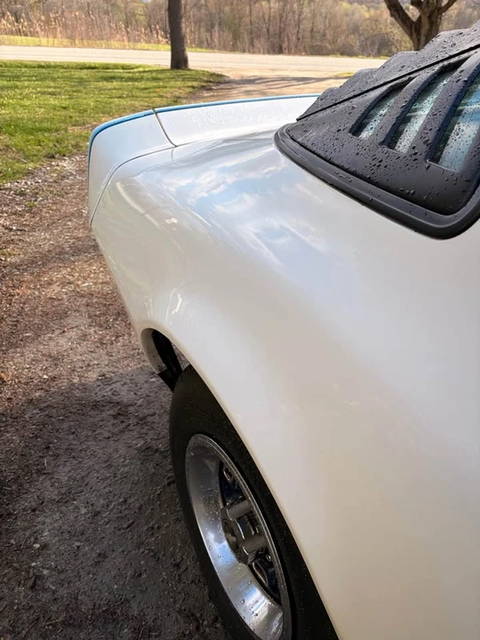 1981 Pontiac Firebird 2nd Gen - Image 9 of 10