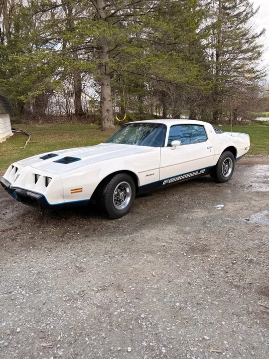 1981 Pontiac Firebird 2nd Gen - Image 2 of 10