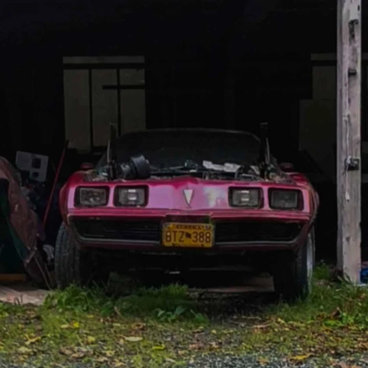 1981 Pontiac Firebird 2nd Gen - Image 4 of 4