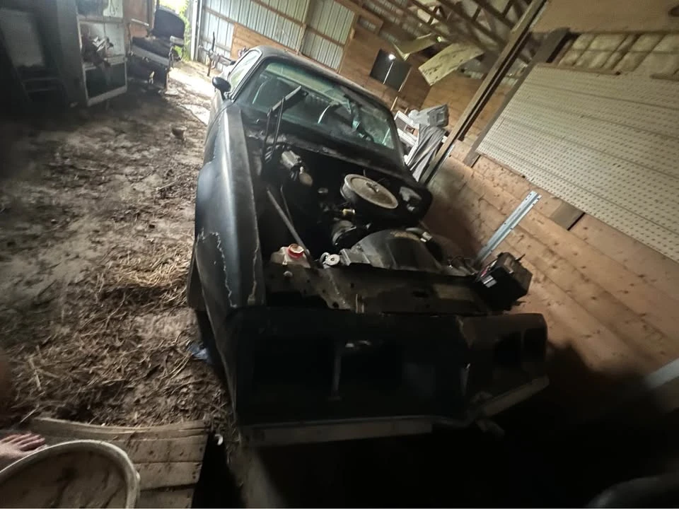 1981 Pontiac Firebird 2nd Gen - Image 7 of 15