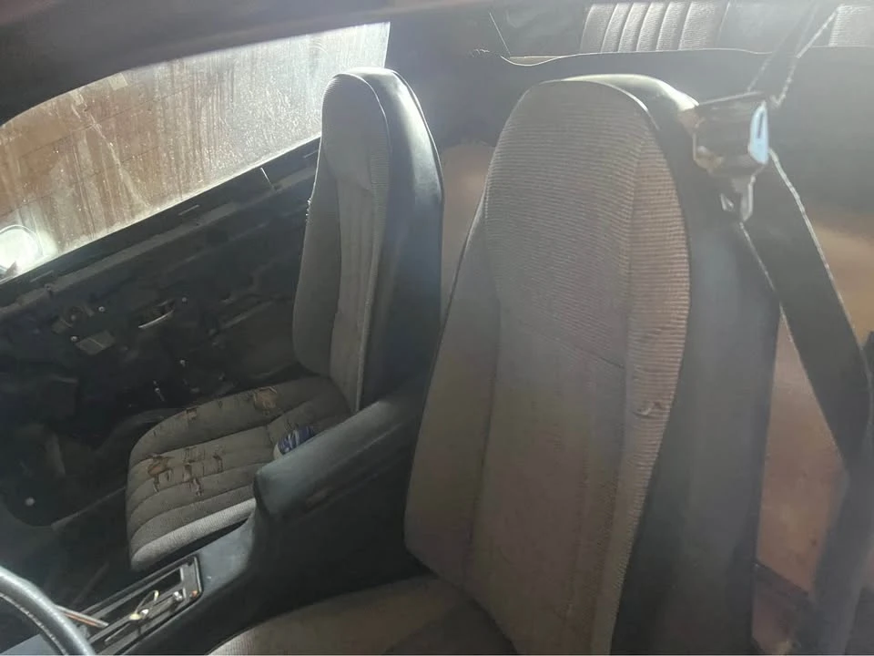 1981 Pontiac Firebird 2nd Gen - Image 13 of 15