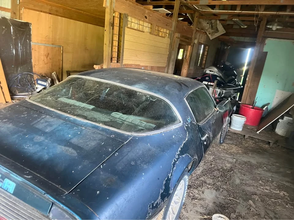 1981 Pontiac Firebird 2nd Gen - Image 11 of 15