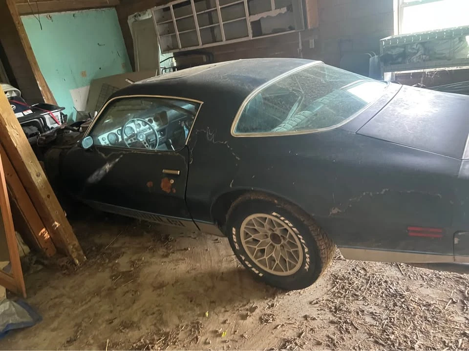 1981 Pontiac Firebird 2nd Gen - Image 15 of 15