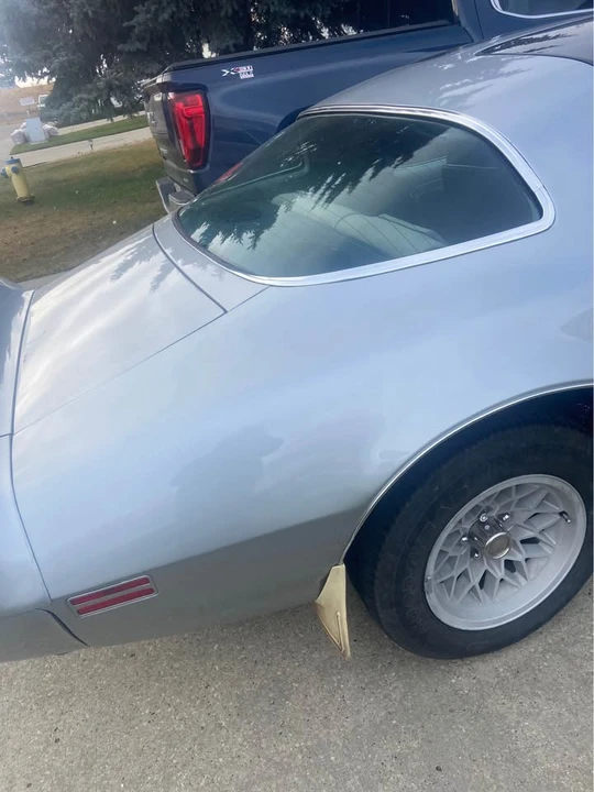 1981 Pontiac Firebird 2nd Gen - Image 4 of 12