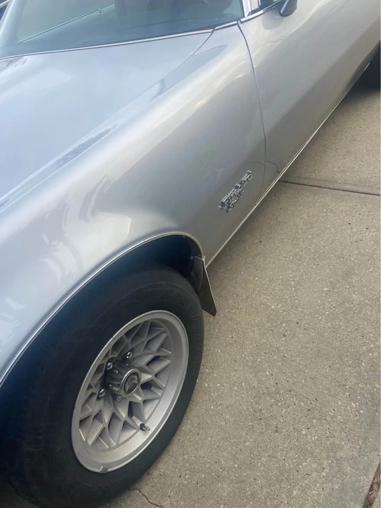 1981 Pontiac Firebird 2nd Gen - Image 6 of 12