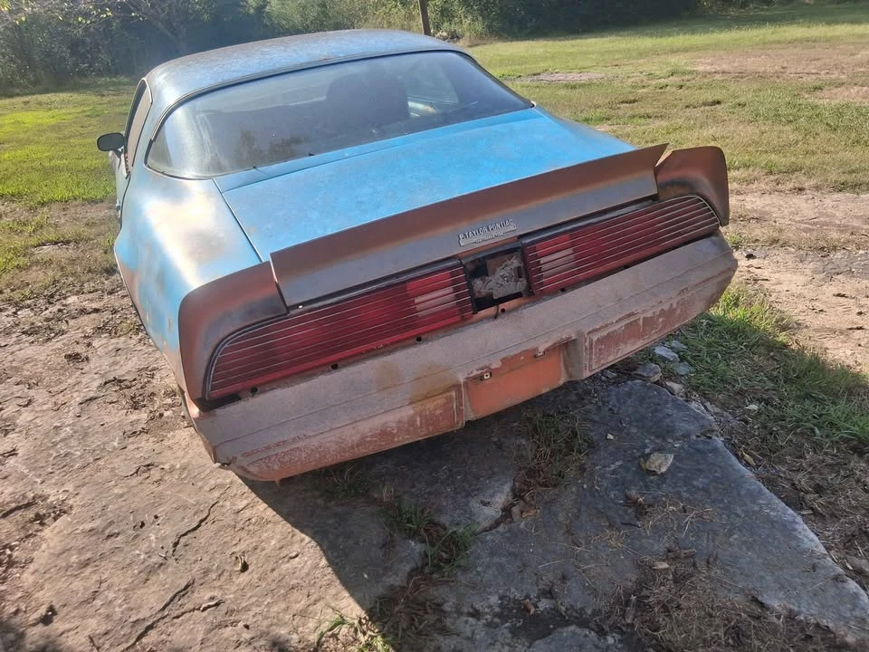 1981 Pontiac Firebird 2nd Gen - Image 3 of 7