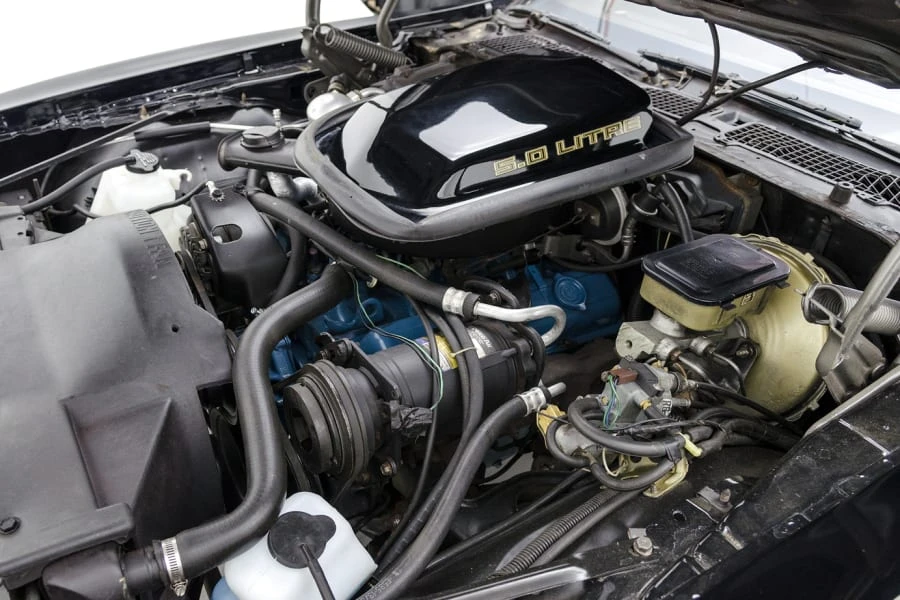 1981 Pontiac Firebird 2nd Gen - Image 4 of 5