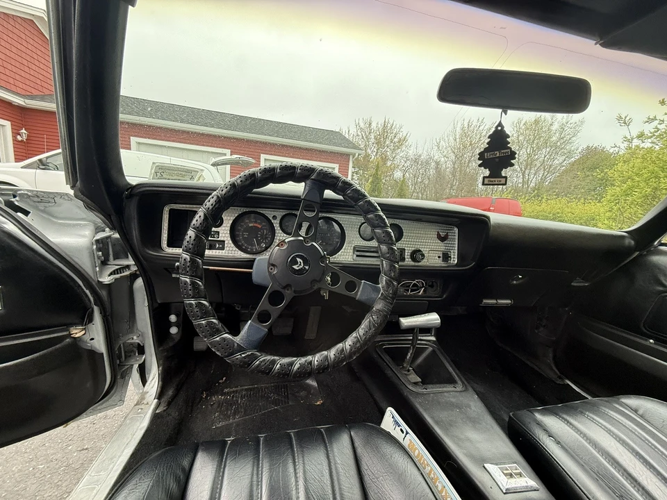 1981 Pontiac Firebird Trans Am 2nd Gen - Image 7 of 27