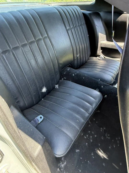 1981 Pontiac Firebird Trans Am 2nd Gen - Image 12 of 27