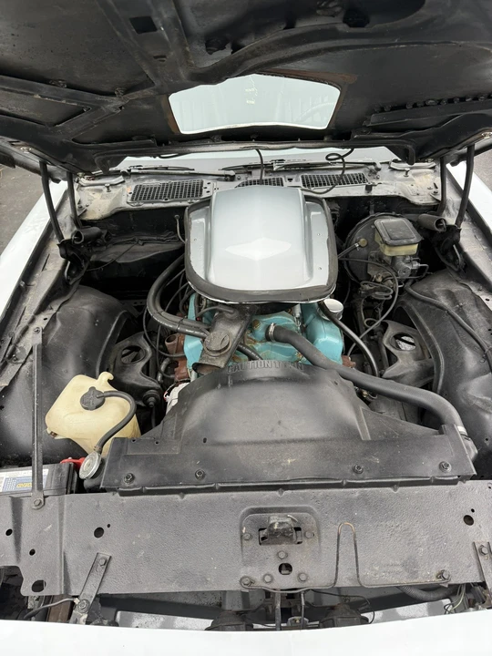 1981 Pontiac Firebird Trans Am 2nd Gen - Image 5 of 27