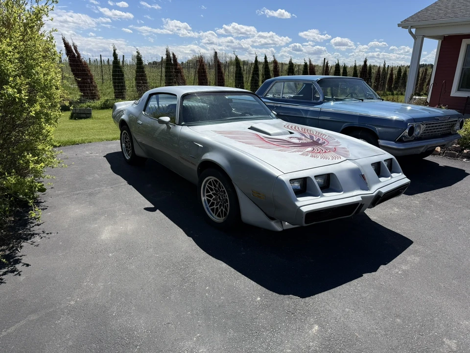 1981 Pontiac Firebird Trans Am 2nd Gen - Image 9 of 27