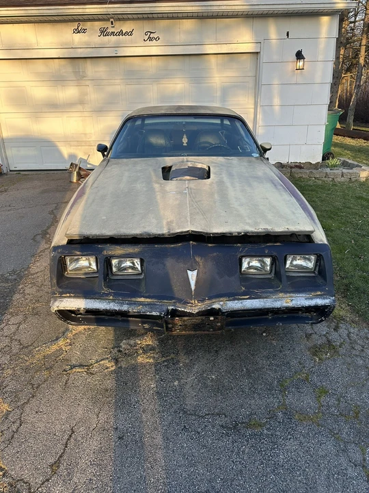 1981 Pontiac Firebird Trans Am 2nd Gen - Image 25 of 27
